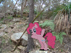 Size: 2048x1536 | Tagged: safe, artist:joeypony, pinkie pie, rocky, earth pony, pony, bipedal, bipedal leaning, leaning, looking at you, ponies in real life, shadow, smiling, tree, vector