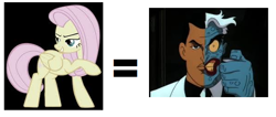 Size: 600x254 | Tagged: safe, fluttershy, pegasus, pony, batman, batman the animated series, discorded, flutterbitch, harvey dent, two-face