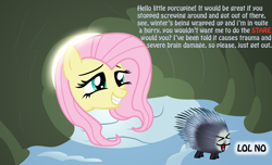 Size: 1159x703 | Tagged: safe, artist:ohthatandy, fluttershy, pegasus, pony, porcupine, winter wrap up, grin, lol no, smiling, squee