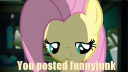 Size: 422x238 | Tagged: safe, fluttershy, pegasus, pony, female, funnyjunk, image macro, mare, pink mane, yellow coat