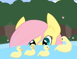 Size: 1022x782 | Tagged: safe, artist:fribox, fluttershy, duck, pegasus, pony, female, mare, pink mane, yellow coat