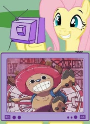 Size: 432x592 | Tagged: safe, fluttershy, pegasus, pony, exploitable meme, meme, one piece, tony tony chopper, tv meme