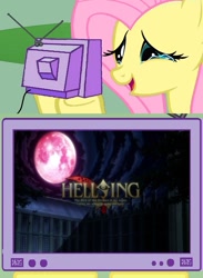 Size: 563x771 | Tagged: safe, fluttershy, pegasus, pony, exploitable meme, fluttercry, hellsing, meme, tv meme