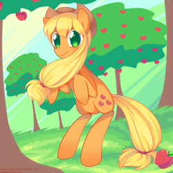 Size: 900x900 | Tagged: safe, artist:pekou, applejack, earth pony, pony, solo