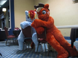 Size: 2272x1704 | Tagged: safe, artist:spainfischer, applejack, rainbow dash, cosplay, fursuit, irl, photo