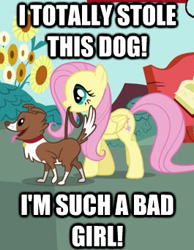 Size: 265x342 | Tagged: safe, fluttershy, winona, pegasus, pony, spike at your service, female, image macro, mare