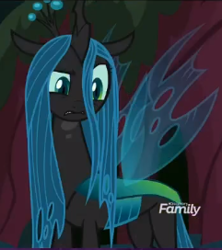 Size: 241x272 | Tagged: safe, screencap, queen chrysalis, changeling, changeling queen, the mean 6, bewildered, cropped, discovery family logo, former queen chrysalis, raised eyebrow, solo