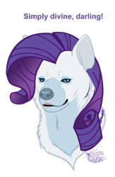 Size: 800x1230 | Tagged: safe, artist:hyenafactory, rarity, hyena, bust, dialogue, female, looking at you, purple hair, simple background, species swap, transparent background, white coat