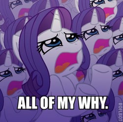 Size: 320x319 | Tagged: artist needed, safe, rarity, pony, unicorn, image macro, reaction image, why