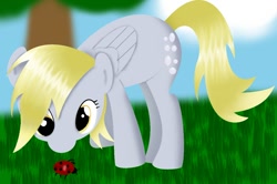 Size: 1200x799 | Tagged: safe, artist:honkman7, derpy hooves, ladybug, pegasus, pony, female, mare