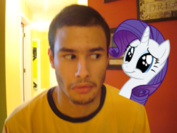 Size: 640x480 | Tagged: safe, artist:luisbonilla, rarity, pony, unicorn, female, horn, mare, ponies in real life, white coat