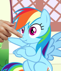 Size: 499x583 | Tagged: safe, derpibooru import, edit, edited screencap, screencap, rainbow dash, pegasus, pony, daring done?, boop, boop edit, cute, dashabetes, nose wrinkle, scrunchy face, solo