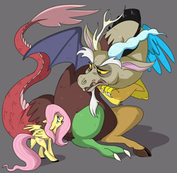 Size: 984x959 | Tagged: safe, artist:secretstabby, discord, fluttershy, pegasus, pony, keep calm and flutter on, discoshy, female, male, shipping, straight, tumblr