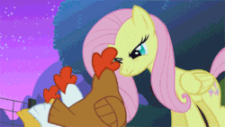 Size: 500x281 | Tagged: safe, screencap, fluttershy, bird, chicken, pegasus, pony, stare master, animated, spread wings, the stare, wings