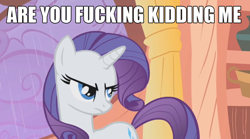 Size: 842x467 | Tagged: safe, rarity, pony, unicorn, are you fucking kidding me, image macro, meme, vulgar