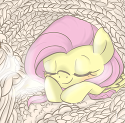 Size: 661x651 | Tagged: safe, artist:marisalle, fluttershy, pegasus, pony, female, mare, pink mane, sleeping, yellow coat