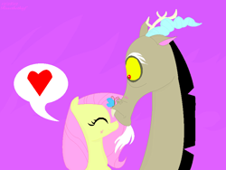 Size: 800x600 | Tagged: safe, artist:rosethethief, discord, fluttershy, pegasus, pony, keep calm and flutter on, discoshy, shipping