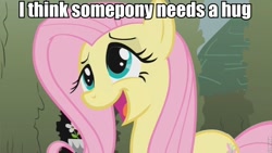 Size: 853x480 | Tagged: safe, fluttershy, pegasus, pony, bronybait, female, hug, image macro, mare