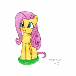 Size: 4501x4500 | Tagged: safe, artist:ulyssesgrant, fluttershy, pegasus, pony, absurd resolution, female, mare, puffy cheeks