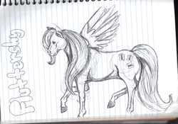 Size: 1280x897 | Tagged: safe, artist:supernatural-and-slippers, fluttershy, pegasus, pony, hoers, monochrome, realistic, solo, traditional art