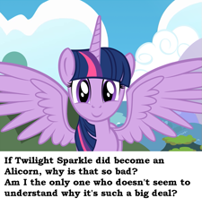 Size: 817x906 | Tagged: safe, derpibooru import, twilight sparkle, twilight sparkle (alicorn), alicorn, pony, alicorn drama, captioned, drama, meta, question, trollbait