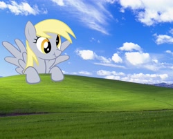 Size: 4510x3627 | Tagged: safe, derpy hooves, pegasus, pony, bliss, female, mare, ponies in real life, scrunchy face, wallpaper, windows xp