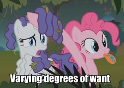 Size: 960x684 | Tagged: safe, screencap, pinkie pie, rarity, earth pony, pony, unicorn, bridle gossip, hairity, image macro, spitty pie, varying degrees of want, want