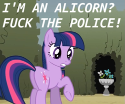 Size: 635x531 | Tagged: safe, derpibooru import, twilight sparkle, alicorn, fuck the police, text, vulgar