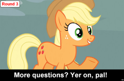 Size: 1024x672 | Tagged: safe, applejack, earth pony, pony, comic:celestia's servant interview, caption, interview, meta