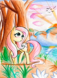 Size: 1296x1769 | Tagged: safe, artist:kazia-kat, fluttershy, bird, pegasus, pony, female, mare, sunrise