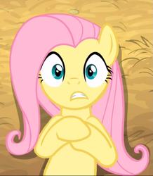 Size: 569x652 | Tagged: safe, screencap, fluttershy, pegasus, pony, female, mare, shadow, solo