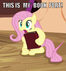 Size: 533x576 | Tagged: safe, screencap, fluttershy, pegasus, pony, magic duel, animated, book, book fort, cute, gif, golden oaks library, hiding, image macro, library, meme, scared, sitting, solo, wide eyes