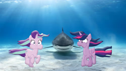 Size: 1920x1080 | Tagged: safe, artist:cloudyglow, artist:mr-kennedy92, starlight glimmer, twilight sparkle, twilight sparkle (alicorn), alicorn, pony, shark, unicorn, behind you, female, holding breath, irl, mare, photo, ponies in real life, sand, shadow, underwater, vector