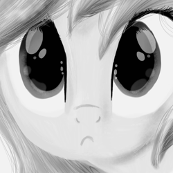 Size: 2000x2000 | Tagged: safe, artist:lannielona, derpibooru import, rainbow dash, pegasus, pony, bust, female, grayscale, looking at you, mare, monochrome, portrait, shiny, solo