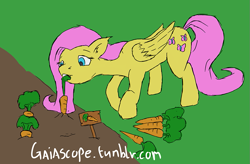 Size: 995x652 | Tagged: safe, artist:gaiascope, fluttershy, pegasus, pony, 30 minute art challenge, carrot, female, mare