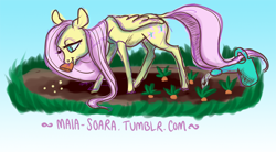 Size: 850x468 | Tagged: safe, artist:maia-soara, fluttershy, pegasus, pony, 30 minute art challenge, garden, watering can