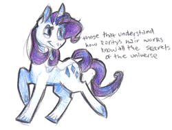 Size: 968x731 | Tagged: safe, artist:generalpandemonium, rarity, pony, unicorn, female, mare, purple mane, solo, text, white coat