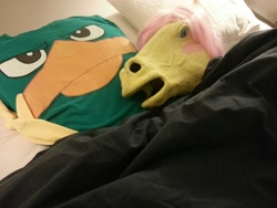 Size: 1280x960 | Tagged: safe, fluttershy, bed, cosplay, hoers, hoers mask, irl, nightmare fuel, perry the platypus, photo, pillow, sleeping, waifuwaifuflutterass, wat