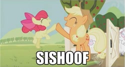 Size: 499x268 | Tagged: safe, edit, edited screencap, screencap, apple bloom, applejack, earth pony, pony, sheep, sisterhooves social, caption, duo, high five, hoofbump, hub logo, sisters