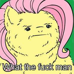 Size: 945x945 | Tagged: safe, artist:megasweet, fluttershy, pegasus, pony, :, fluffy, reaction image, solo, vulgar, what the fuck man
