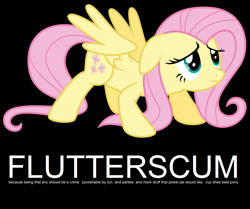 Size: 1600x1340 | Tagged: safe, fluttershy, pinkie pie, earth pony, pegasus, pony, arial, flutterscum, text