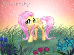 Size: 800x600 | Tagged: safe, artist:1234lert7nan2, fluttershy, pegasus, pony, flower, grass, palindrome get, solo