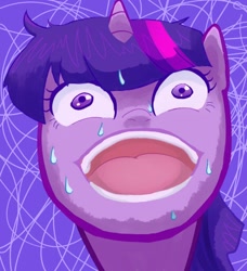 Size: 510x560 | Tagged: safe, artist:nyankamedon, derpibooru import, twilight sparkle, pixiv, reaction image, solo