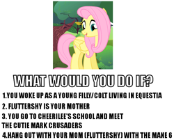 Size: 726x584 | Tagged: safe, fluttershy, pegasus, pony, female, fluttermom, image macro, mare, meta