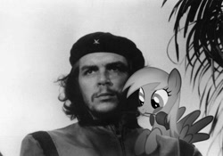 Size: 1069x747 | Tagged: safe, artist:davca, derpy hooves, pegasus, pony, che, che guevara, ernesto che guevara, female, mare, monochrome, ponies in real life, rose