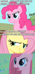 Size: 569x1185 | Tagged: safe, fluttershy, pinkie pie, earth pony, pegasus, pony, comic, dio brando, image macro, jojo's bizarre adventure, pinkamena diane pie, william zeppeli