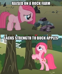 Size: 520x624 | Tagged: safe, edit, screencap, pinkie pie, earth pony, pony, magical mystery cure, the cutie mark chronicles, comic, female, filly, fridge logic, image macro, mare, meme, pinkamena diane pie, rock farm, solo, swapped cutie marks