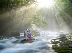 Size: 1280x939 | Tagged: safe, artist:bryal, rarity, irl, photo, ponies in real life, rapids, solo, wet, wet mane, wet mane rarity