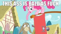 Size: 1920x1080 | Tagged: safe, edit, edited screencap, screencap, cranky doodle donkey, pinkie pie, donkey, earth pony, pony, a friend in deed, bald, image macro, ponyville, vulgar