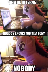 Size: 639x959 | Tagged: safe, derpibooru import, twilight sparkle, computer, hasbro, image macro, internet, irl, laptop computer, meme, on the internet nobody knows you're a dog, photo, plushie, ponyhoof